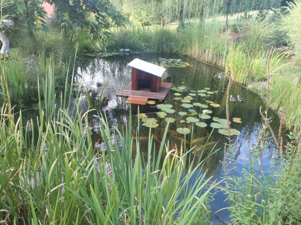 bassin-biotope-17_